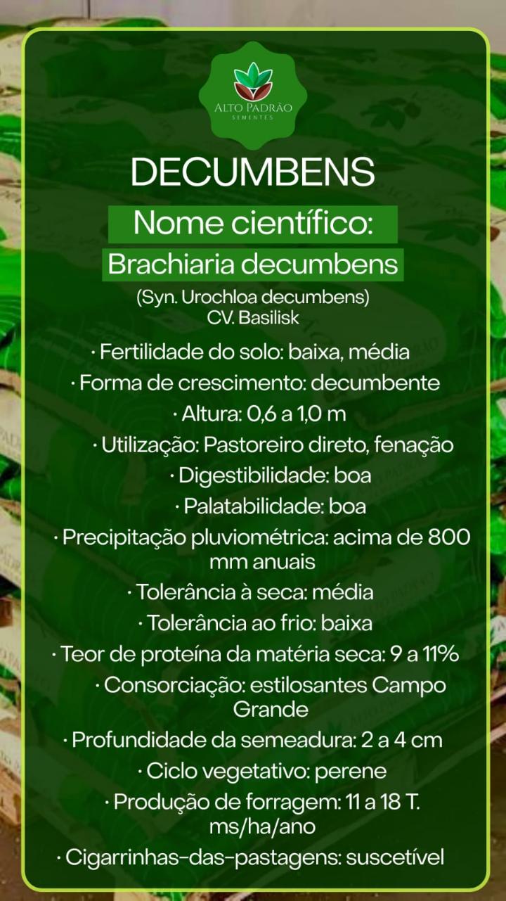 Sementes de Capim Decumbens Convencional NUA (80% V.C.) 20Kg