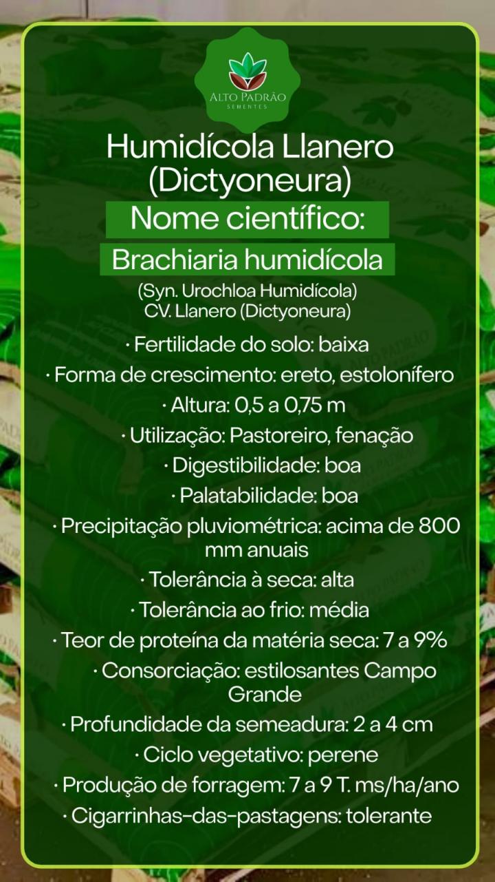 Sementes de Capim Humidícola Llanero (Dictyoneura) Convencional NUA (50% V.C.) 20Kg