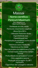 Sementes de Capim Massai Convencional NUA (50% V.C.) 20Kg