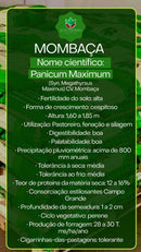 Sementes de Capim Mombaça Convencional NUA (50% V.C.) 20Kg