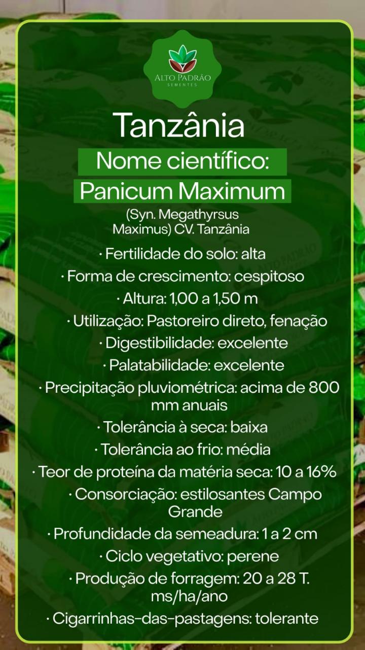 Sementes de Capim Tanzânia Convencional NUA (50% V.C.) 20Kg