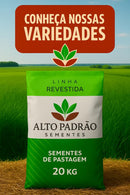 Sementes de Capim Humidicola Tradicional Revestida (80% V.C.) 10Kg