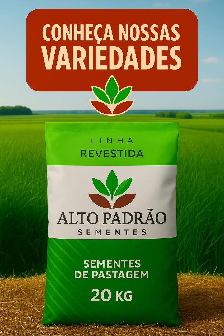 Sementes de Capim Humidicola Tradicional Revestida (80% V.C.) 10Kg