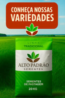 Sementes de Capim MG-4 Convencional NUA (50% V.C.) 20Kg