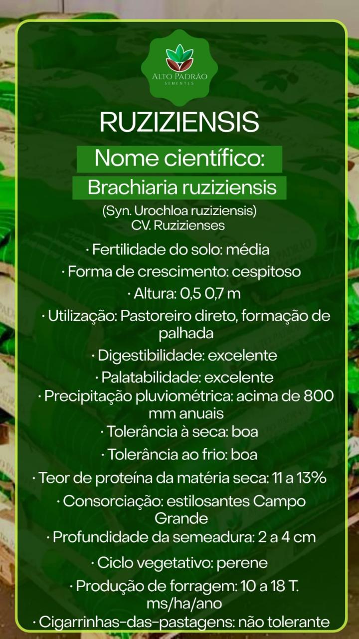 Sementes de Capim Ruziziensis Convencional NUA (50% V.C.) 20Kg
