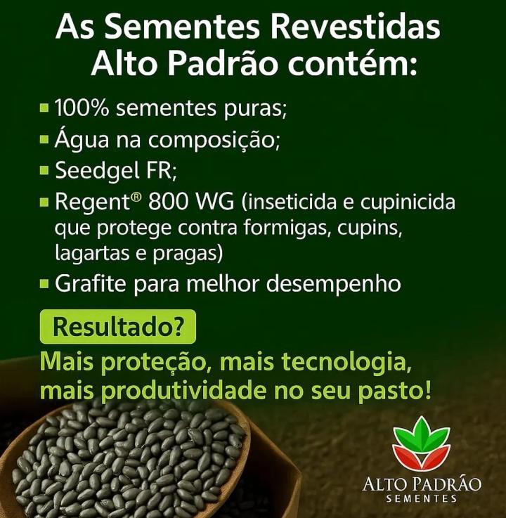 Sementes de Capim Humidicola Tradicional Revestida (80% V.C.) 10Kg